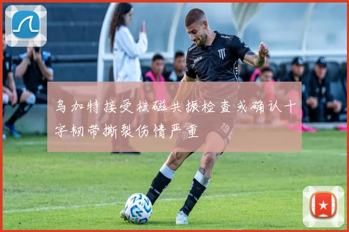 乌加特接受核磁共振检查或确认十字韧带撕裂伤情严重