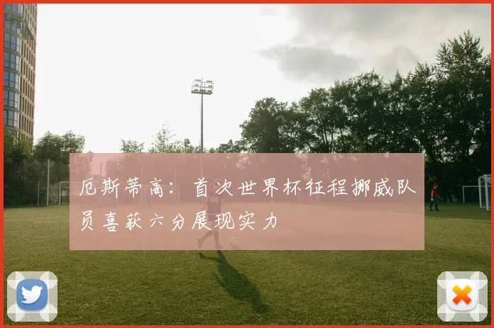 厄斯蒂高：首次世界杯征程挪威队员喜获六分展现实力